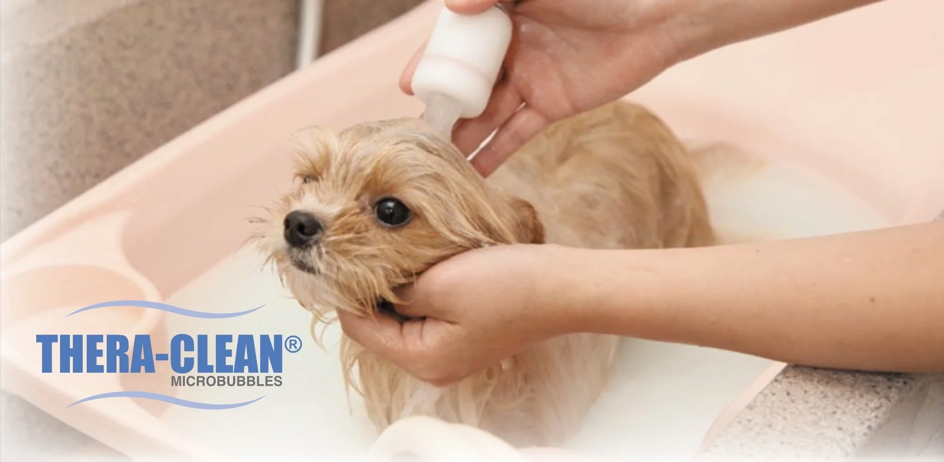 Thera-Clean Microbubble Spa grooming result